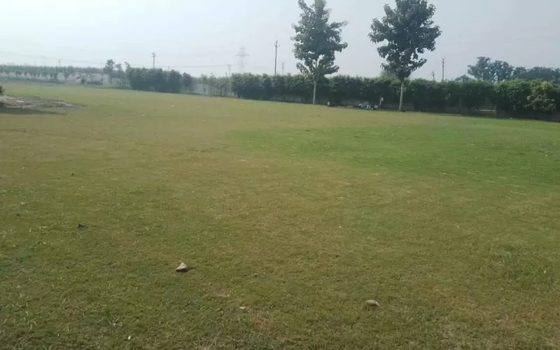 Play Ground